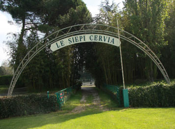 Le Siepi